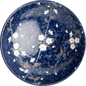 due ciotole ramen blue 858852