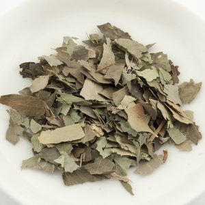 EDERA