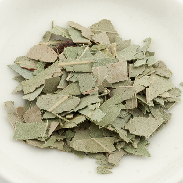 EUCALIPTO 100g