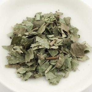 FRASSINO