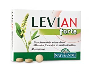 LEVIAN FORTE