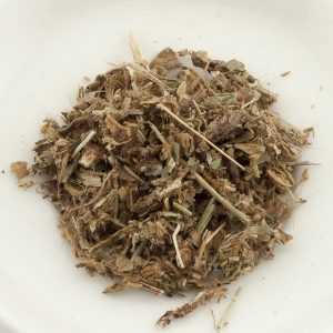 PILOSELLA