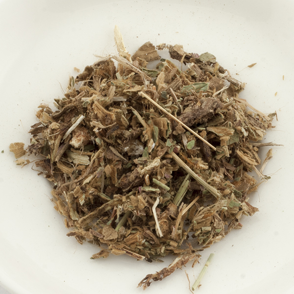 PILOSELLA