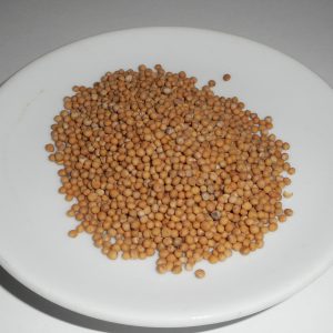 SENAPE intera  100 g