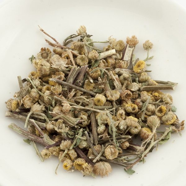 TANACETO 100g