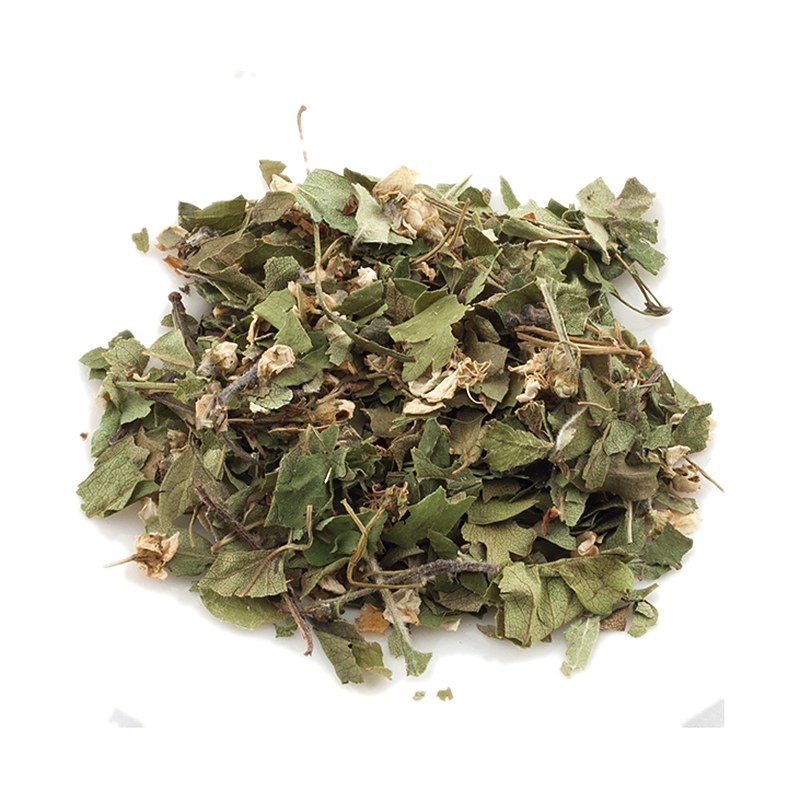erbe officinali